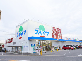 株式会社ドラッグスギヤマ