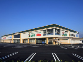 えぷろんホールディングス株式会社